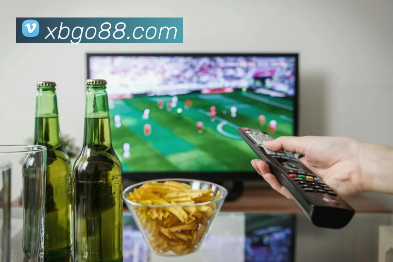 新币娱乐官网发展历程