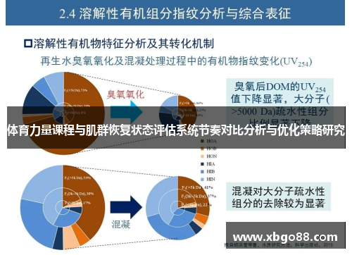 体育力量课程与肌群恢复状态评估系统节奏对比分析与优化策略研究